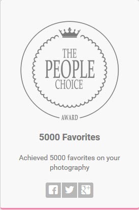 People_Choice_5000_Favorites